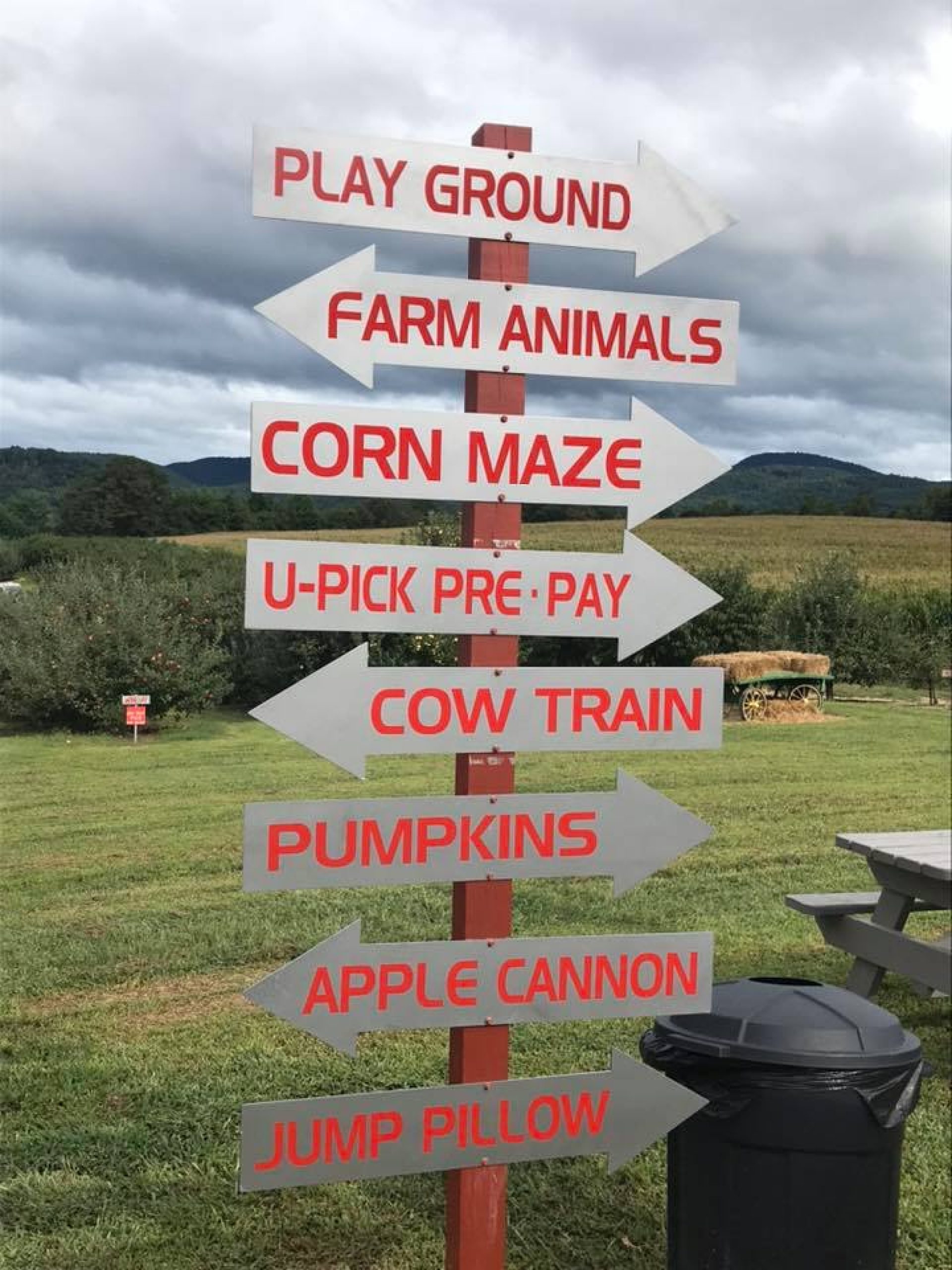 Apple Picking In Fall 2020. Schedules, Restrictions & More Info On U ...