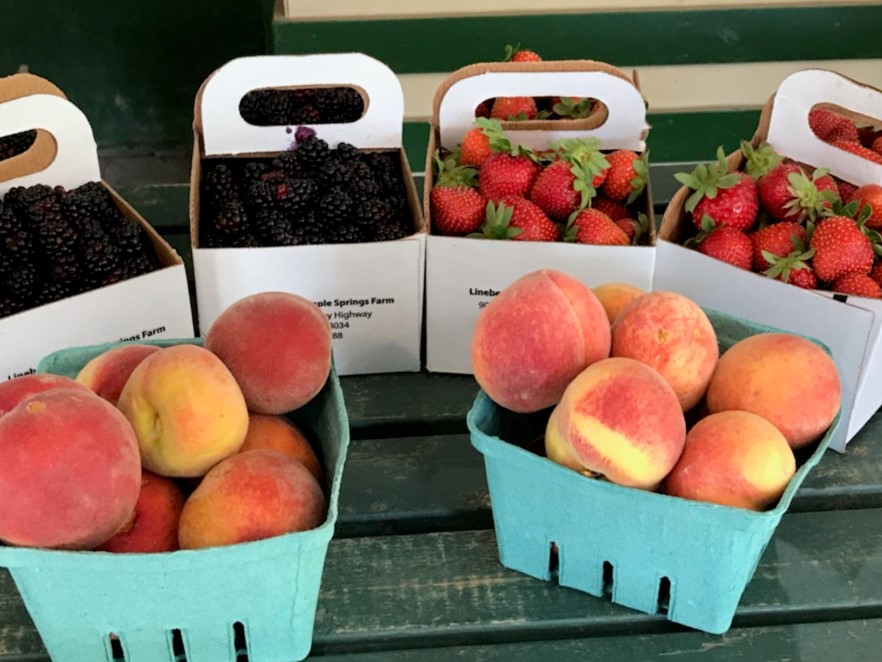 Where to pick your own peaches this summer in Lancaster County, Food